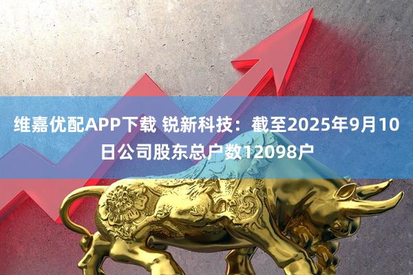 维嘉优配APP下载 锐新科技：截至2025年9月10日公司股东总户数12098户