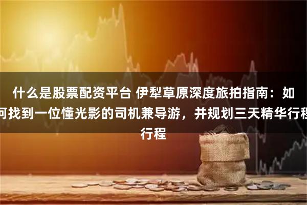 什么是股票配资平台 伊犁草原深度旅拍指南：如何找到一位懂光影的司机兼导游，并规划三天精华行程